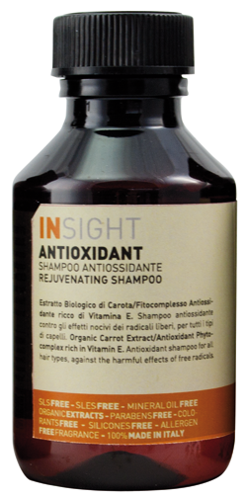 Шампунь антиоксидант для перегруженных волос / ANTIOXIDANT 100 мл