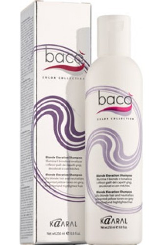 Шампунь дающий блеск волосам и тонирующий седые волосы / BACO 250 мл