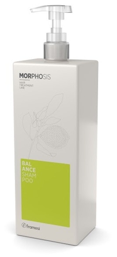 Шампунь для решения проблем жирной кожи головы / MORPHOSIS BALANCE SHAMPOO 1000 мл