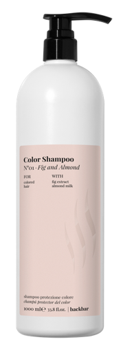 Шампунь для защиты цвета и блеска волос / BACK BAR COLOR SHAMPOO №01 1000 мл
