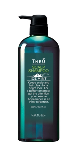 Шампунь мужской многофункциональный Ледяная мята / THEO SCALP SHAMPOO ICE MINT 600 мл